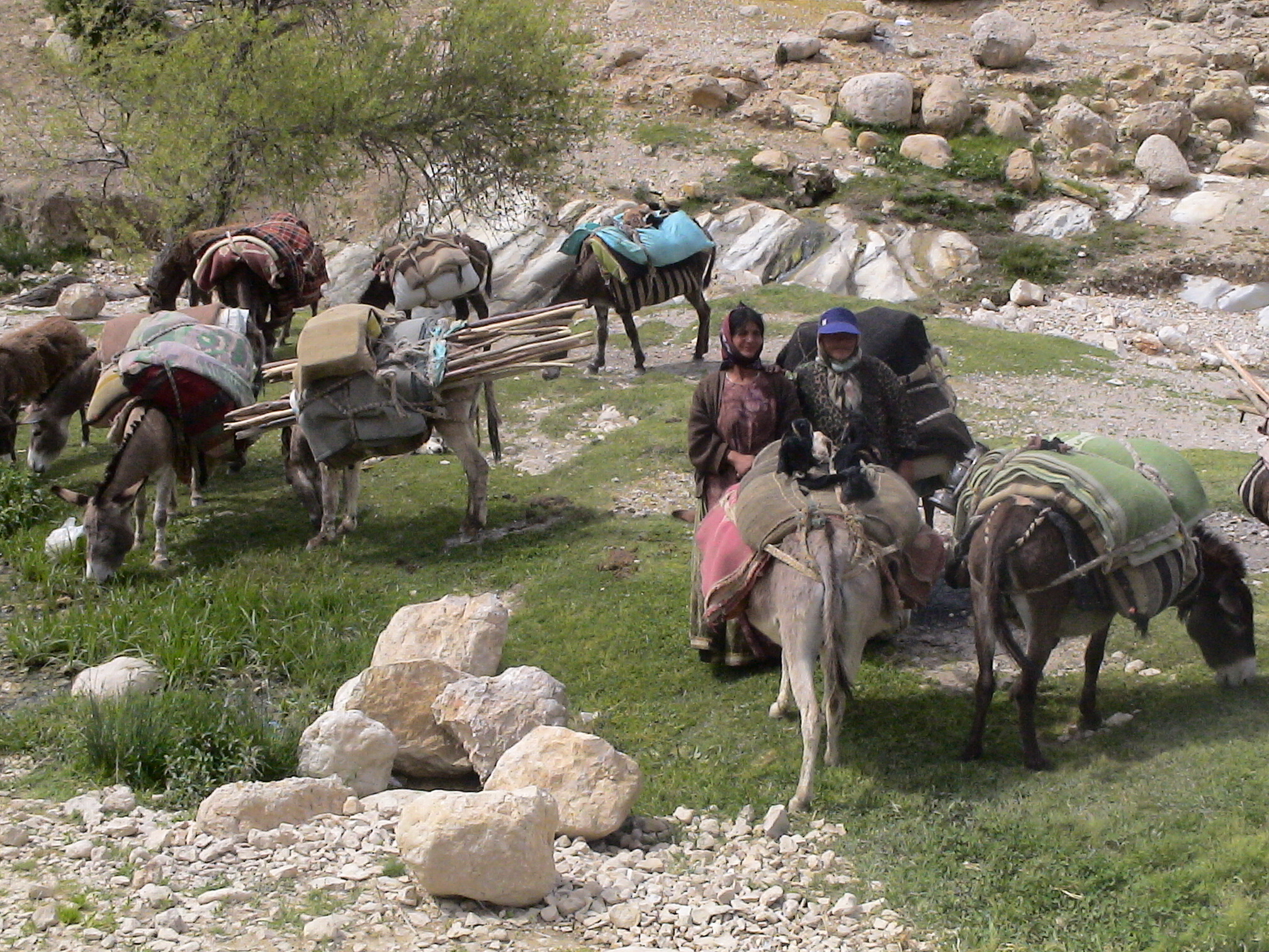 iran-nomadic-pastoralists-cenesta-3-jpg-international-year-of